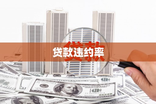 安远贷款违约率
