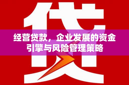 安远经营贷款，企业发展的资金引擎与风险管理策略