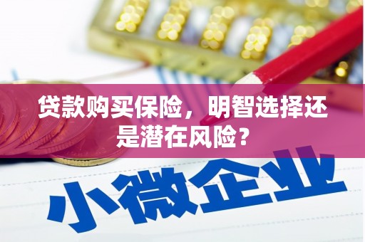 安远贷款购买保险，明智选择还是潜在风险？