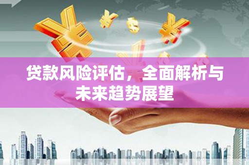 安远贷款风险评估，全面解析与未来趋势展望