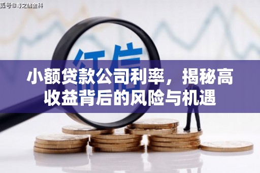安远小额贷款公司利率，揭秘高收益背后的风险与机遇