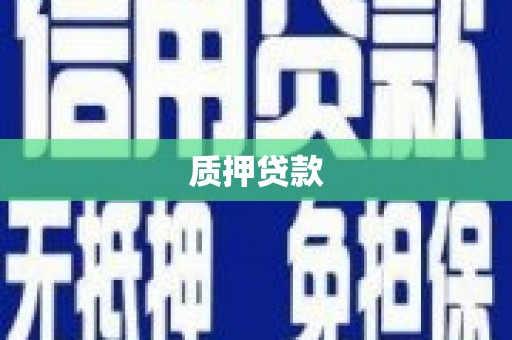 安远质押贷款