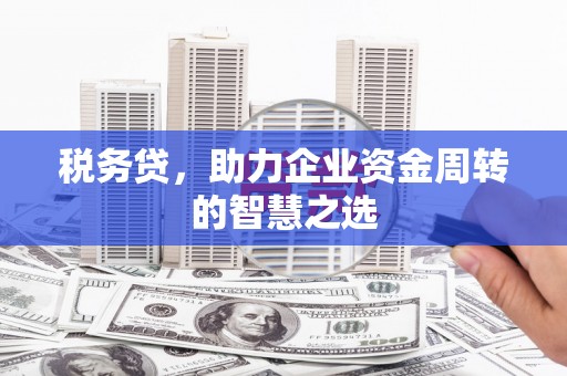 安远税务贷，助力企业资金周转的智慧之选
