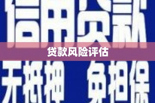 安远贷款风险评估