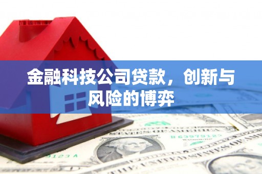 安远金融科技公司贷款，创新与风险的博弈