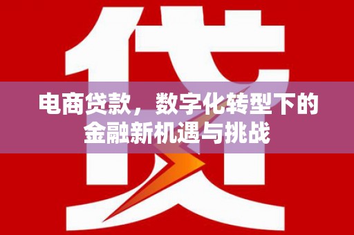 安远电商贷款，数字化转型下的金融新机遇与挑战
