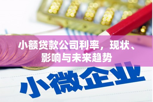 安远小额贷款公司利率，现状、影响与未来趋势