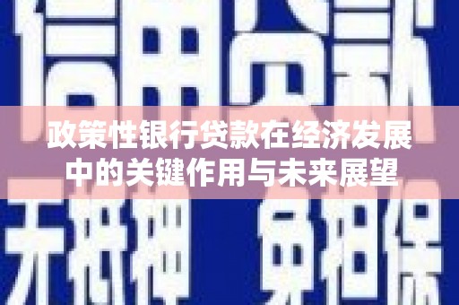 安远政策性银行贷款在经济发展中的关键作用与未来展望