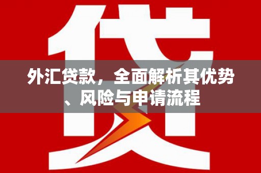 安远外汇贷款，全面解析其优势、风险与申请流程