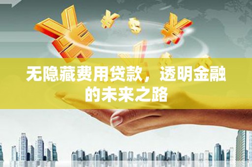 安远无隐藏费用贷款，透明金融的未来之路