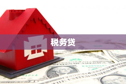 安远税务贷