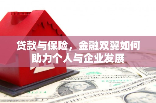 安远贷款与保险，金融双翼如何助力个人与企业发展