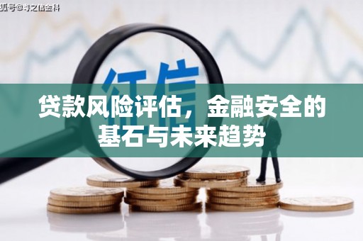 安远贷款风险评估，金融安全的基石与未来趋势