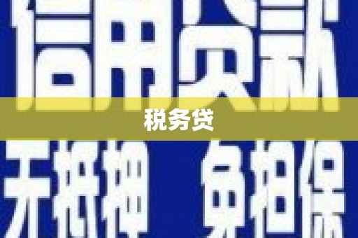 安远税务贷