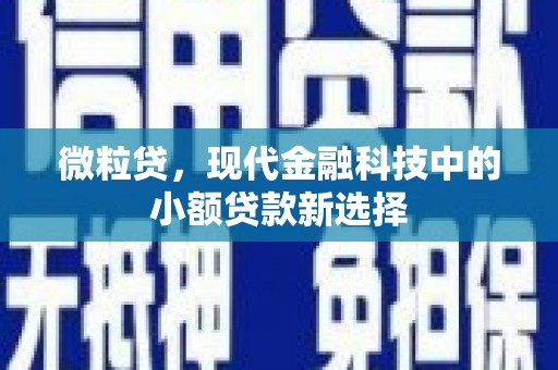 安远微粒贷，现代金融科技中的小额贷款新选择
