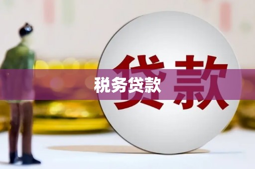 安远税务贷款