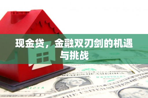 安远现金贷，金融双刃剑的机遇与挑战