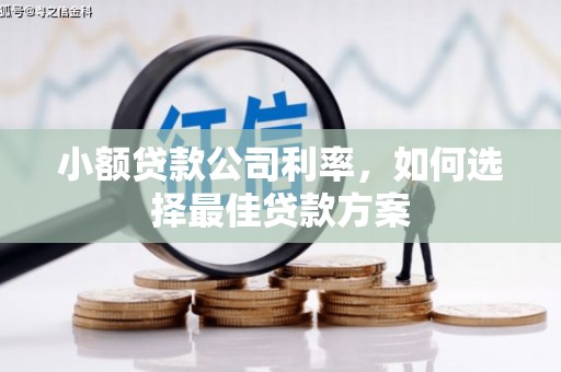 安远小额贷款公司利率，如何选择最佳贷款方案