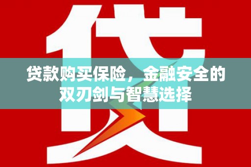 安远贷款购买保险，金融安全的双刃剑与智慧选择