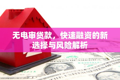 安远无电审贷款，快速融资的新选择与风险解析