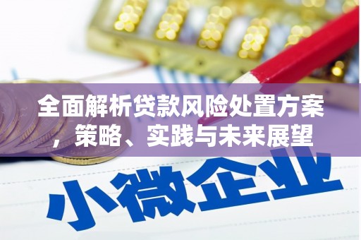 安远全面解析贷款风险处置方案，策略、实践与未来展望