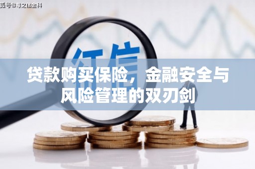 安远贷款购买保险，金融安全与风险管理的双刃剑