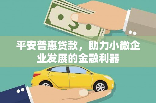 安远平安普惠贷款，助力小微企业发展的金融利器