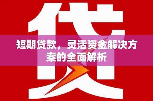 安远短期贷款，灵活资金解决方案的全面解析