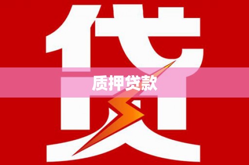 安远质押贷款