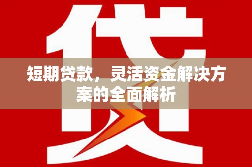 安远短期贷款，灵活资金解决方案的全面解析