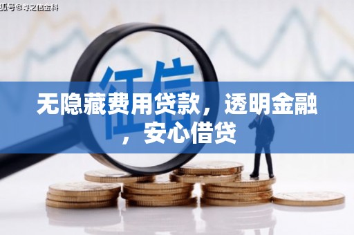 安远无隐藏费用贷款，透明金融，安心借贷