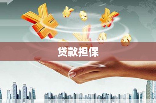 安远贷款担保
