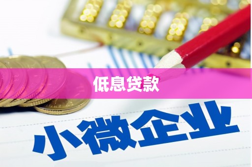 安远低息贷款