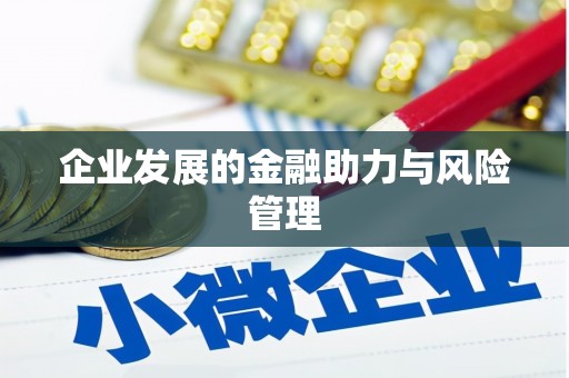 安远企业发展的金融助力与风险管理