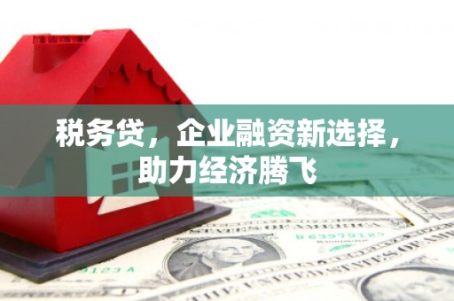 安远税务贷，企业融资新选择，助力经济腾飞