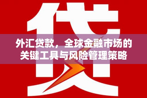 安远外汇贷款，全球金融市场的关键工具与风险管理策略