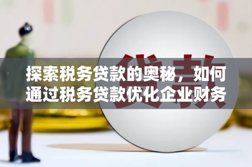 安远探索税务贷款的奥秘，如何通过税务贷款优化企业财务