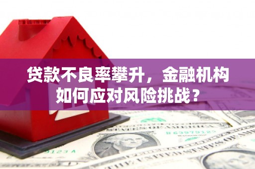 安远贷款不良率攀升，金融机构如何应对风险挑战？