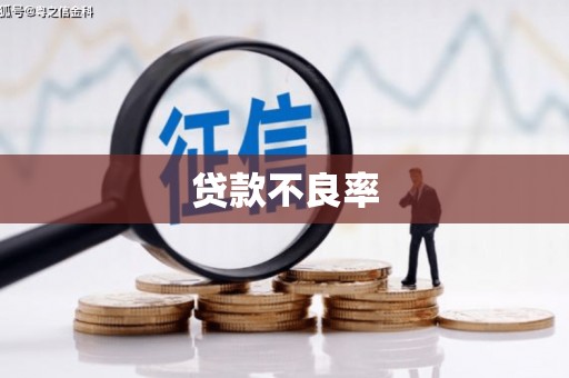 安远贷款不良率