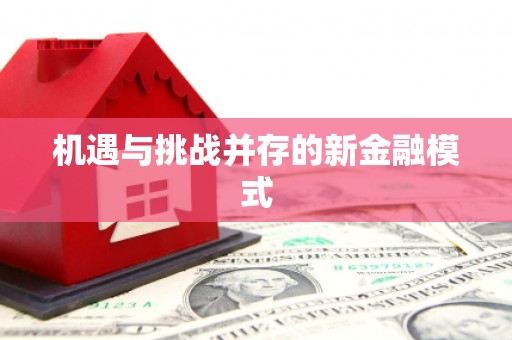 安远机遇与挑战并存的新金融模式