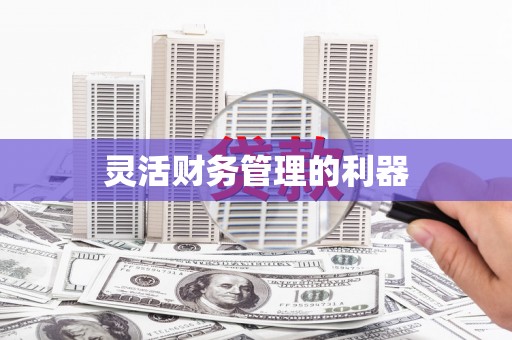 安远灵活财务管理的利器