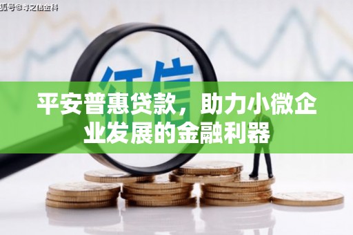 安远平安普惠贷款，助力小微企业发展的金融利器