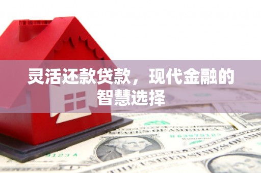 安远灵活还款贷款，现代金融的智慧选择