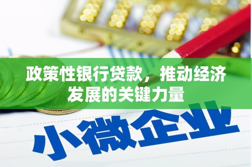 安远政策性银行贷款，推动经济发展的关键力量