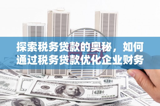 安远探索税务贷款的奥秘，如何通过税务贷款优化企业财务