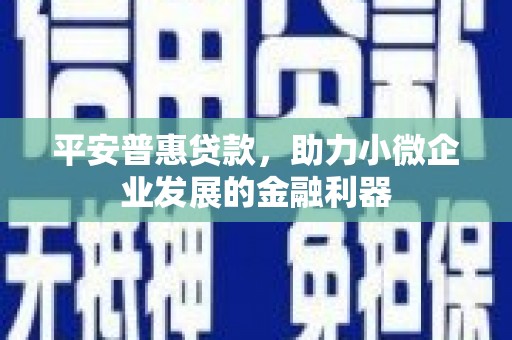 安远平安普惠贷款，助力小微企业发展的金融利器