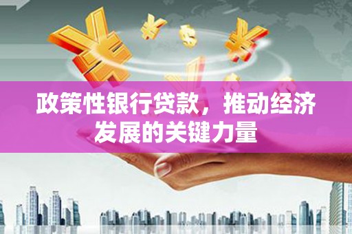 安远政策性银行贷款，推动经济发展的关键力量