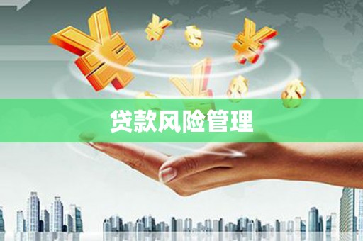安远贷款风险管理
