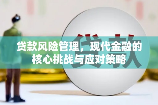 安远贷款风险管理，现代金融的核心挑战与应对策略