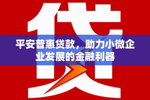安远平安普惠贷款，助力小微企业发展的金融利器